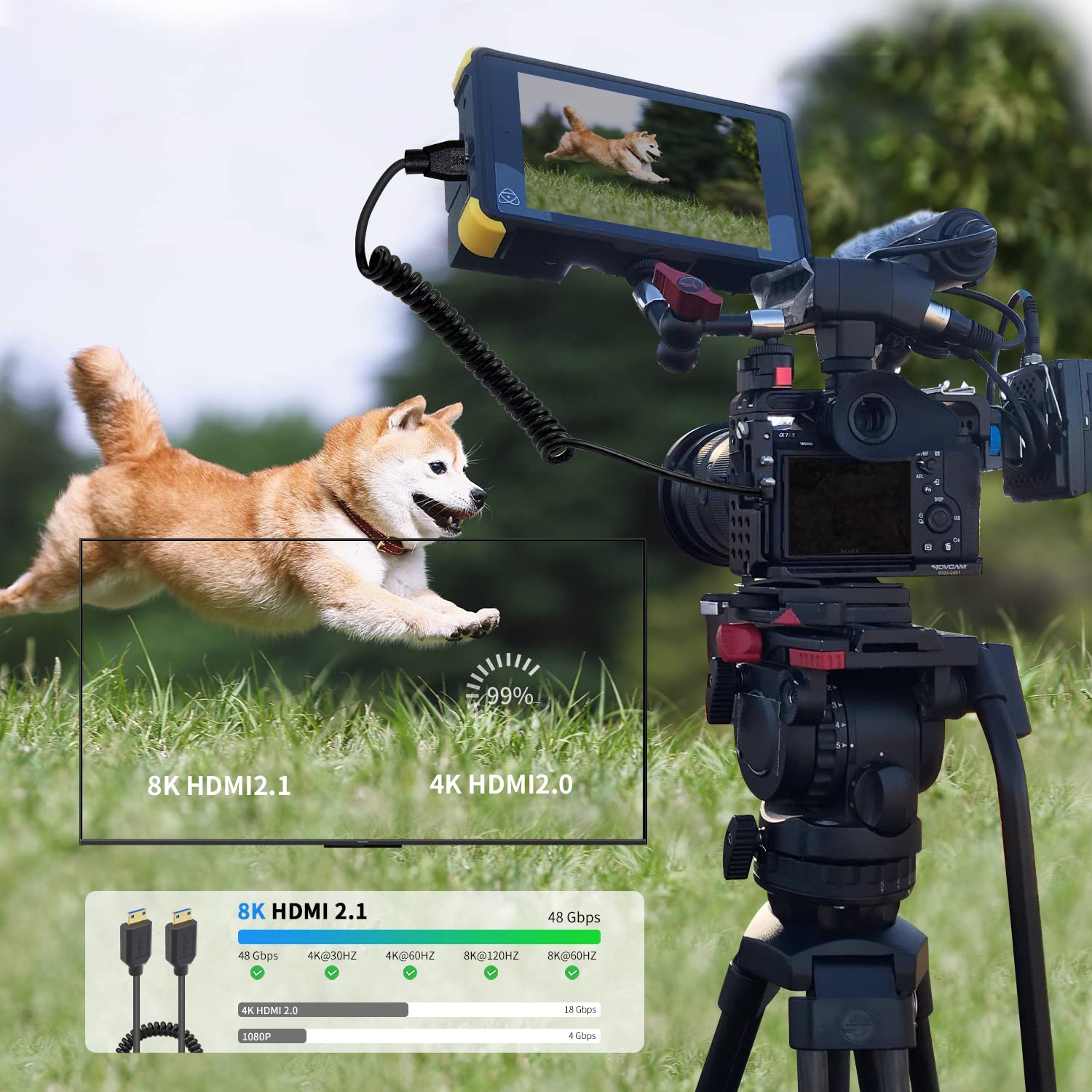 SIKAI 0.75 Feet Ultra High Speed HDMI 2.1 Male To Female Cable, 8K@60Hz, 4K@120Hz, Compatible With Xbox PS5 PS4 Roku TV Stick Blu Ray Player