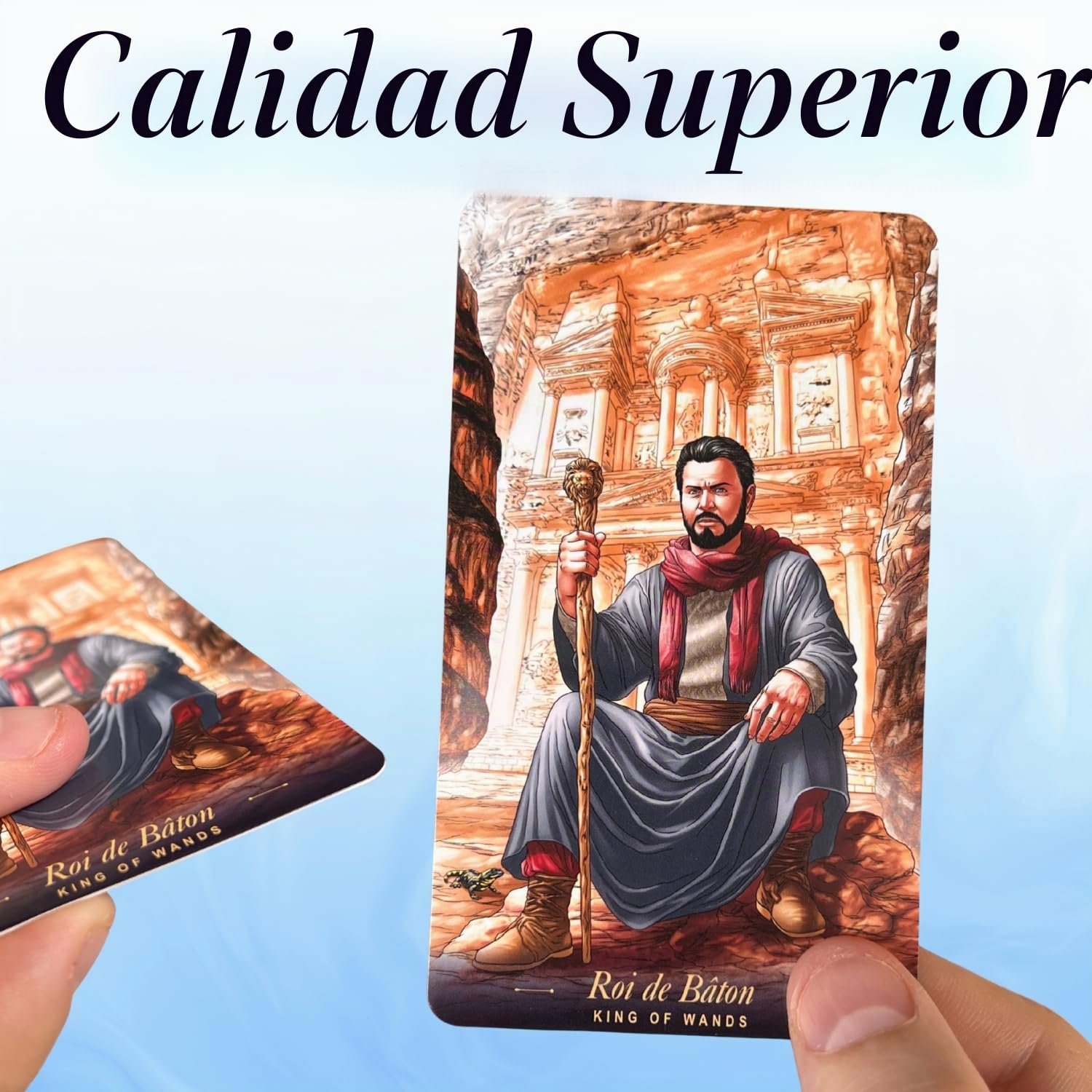 El Tarot de los Espejos del Mundo (Solo en FRANCES) – 78 Cartas ilustradas + Folleto (en Francés) – Renueve con imágenes encarnadas, vibrantes, humanas, que resuenan con El Mundo… y con Usted!