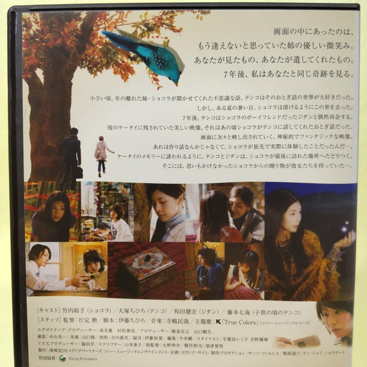 DVD ショコラの見た世界 デラックス版 Amazon.co.jp: ショコラの見た世界竹内結子 主演/大塚千弘（大塚ちひろ