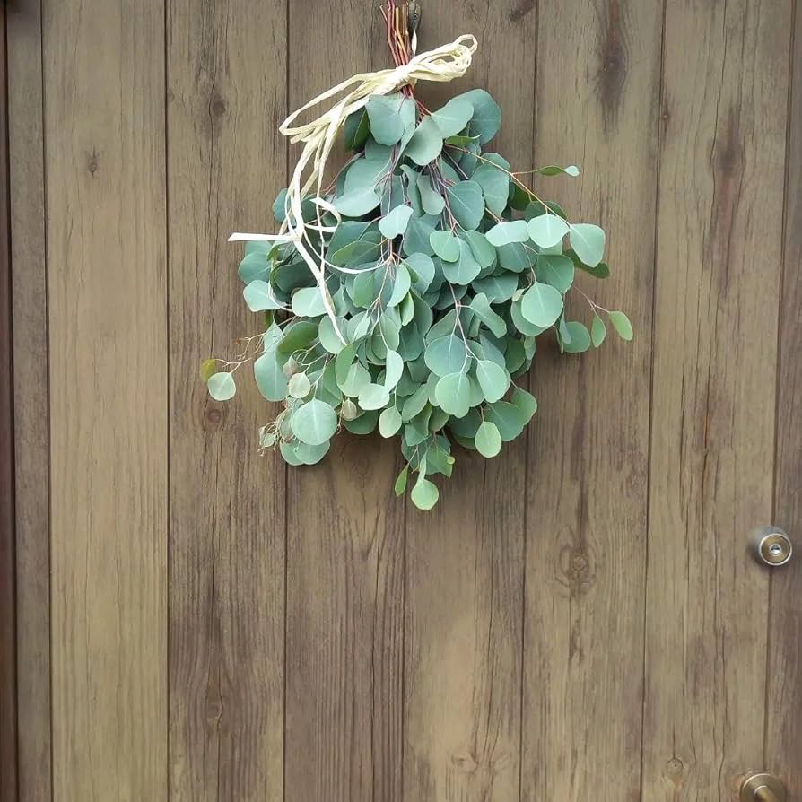 Amazon.co.jp: ユーカリ ポポラス スワッグ : おもちゃ