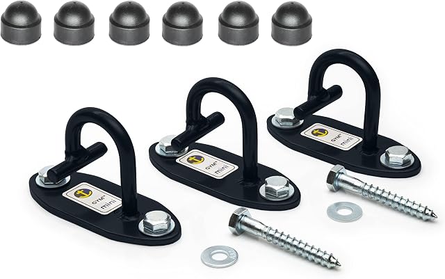 Anchor Gym Set of 3 Mini H1 Workout Wall Mount Anchors. Designed for Body Weight Straps, Resistance Bands, Strength Training, Home Gym, Physical Therapy
