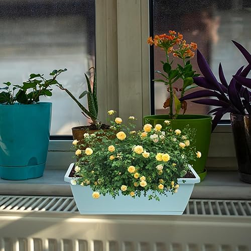 Miniatura 4 de SEWACC 4 juegos de cajas de marco de ventana para el hogar, macetas para plantas al aire libre, macetas rectangulares para plantas al aire libre,