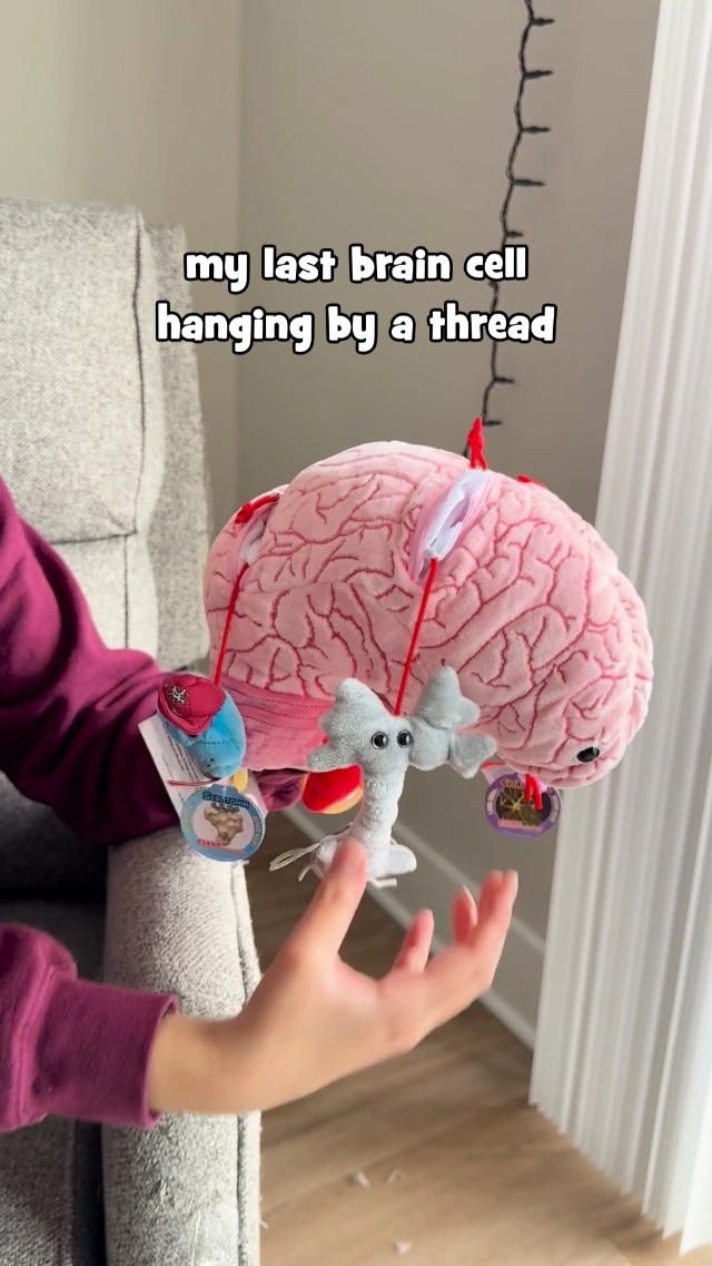 Amazon.com: GIANTmicrobes Deluxe 9.5