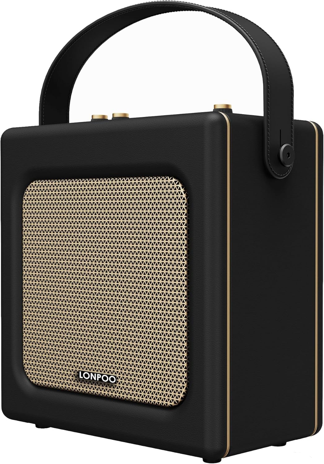 LONPOO Enceinte Bluetooth rétro Aspect Cuir avec Batterie, 20 W, Lecteur USB, entrée auxiliaire, Prise Microphone 6,5 mm, Charge de Type C, Micro Chaîne HiFi stéréo