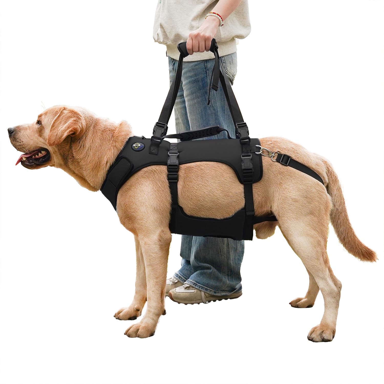 COODEO Hundegeschirr, Ganzkörperstütze und Erholungsweste, verstellbar und atmungsaktiv, für ältere, behinderte, gelenkverletzte, arthritische und gelähmte Hunde. (Schwarz, 2XL)
