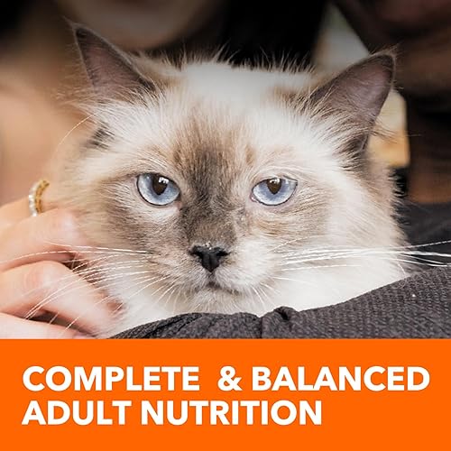 Vista 20 de Iams Proactive Health Adult Indoor Weight & Hairball Control Comida seca para gatos