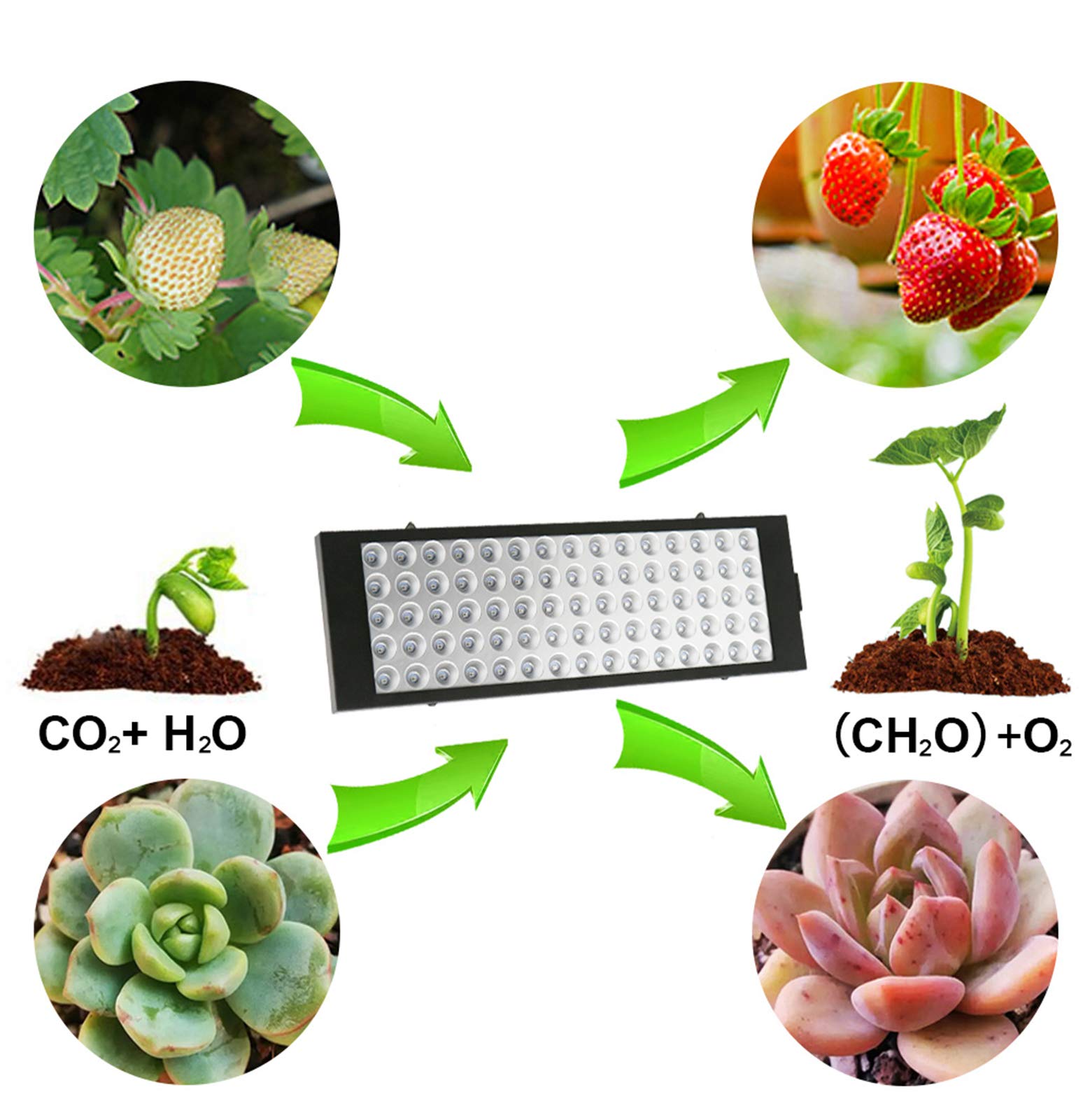 LAI HO 40W LED Grow Light, Lámpara De Cultivo De Espectro Completo con Diseño En Cadena De Margaritas, para Plantas De Interior Lámpara De Invernadero Luz LED De Crecimiento De Espectro Completo