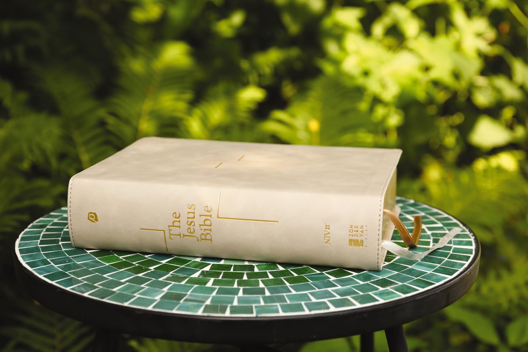 The Jesus Bible: Niv Edition, Stone, Comfort Print
