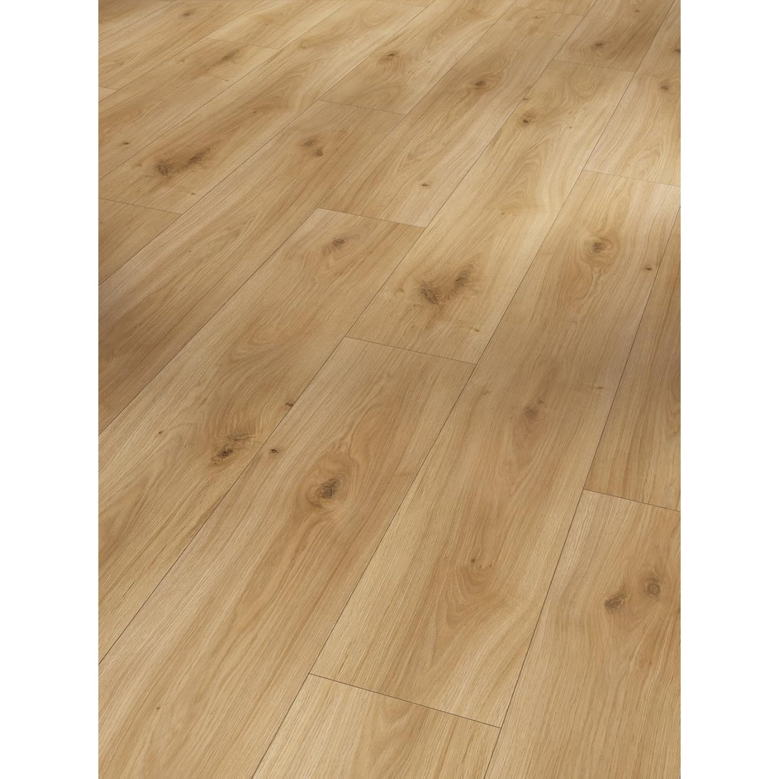 Parador Basic 400 Laminat – Eiche geschliffen hell, 8 mm