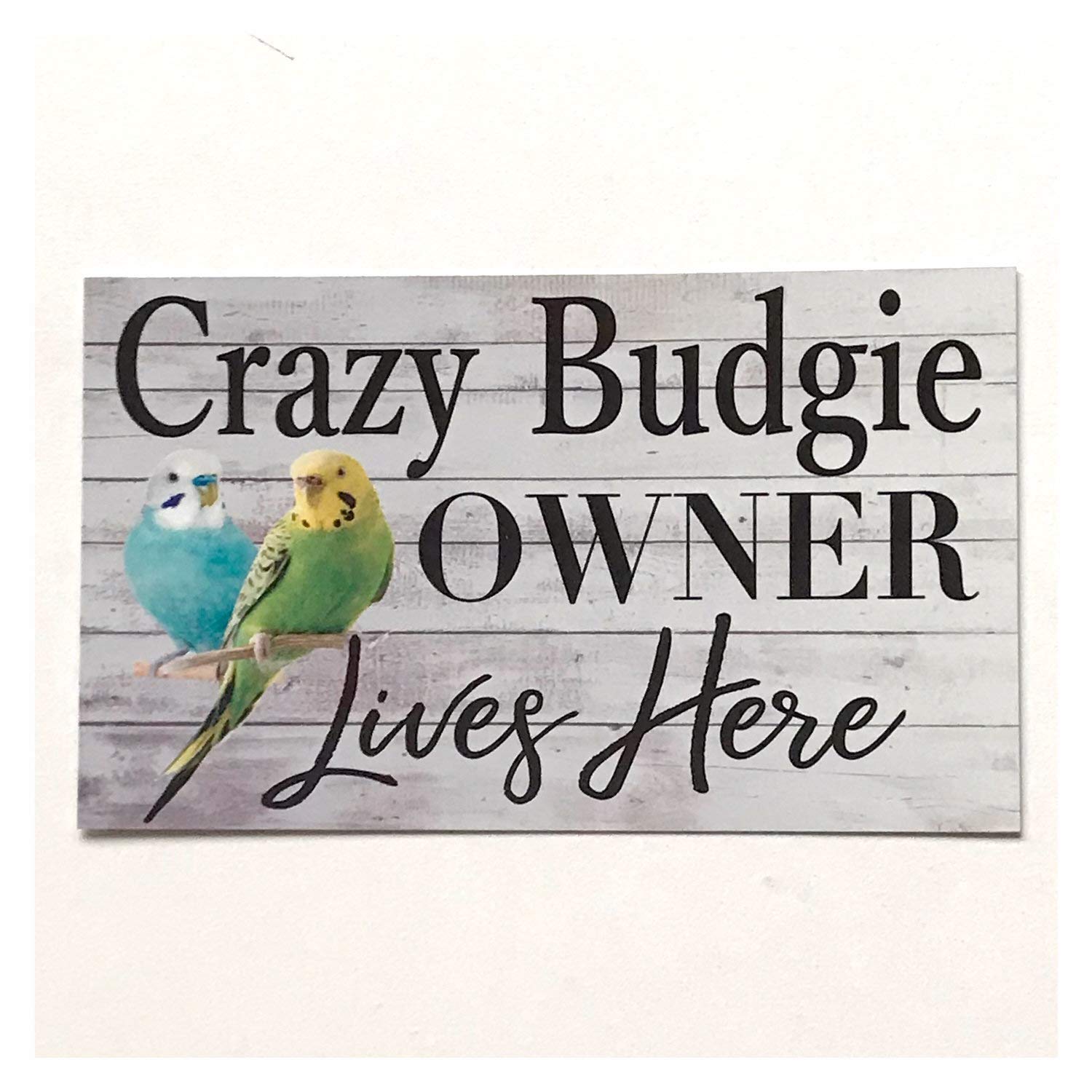 Bioprocess Crazy Budgie Owner Lives Here Sign Wall Plaque Or Hanging Bird Pet Birds Cage Metal Sign 8X12 Inches