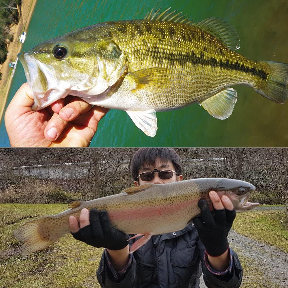 YZD Realistic Fly Fishing Dry Wet Nymph Trout Flies Topwater Lures for Freshwater Saltwater High Simulation Hand Tie Lure Kits 10 pcs : Sports & Outdoors