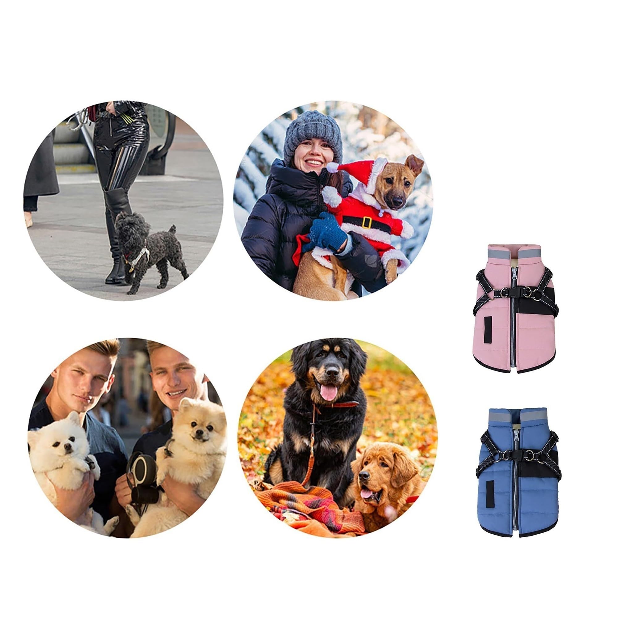 Manteau d'hiver pour chien de petite race – Veste chaude rembourrée avec bandes réfléchissantes pour temps froid – Design confortable à 2 pattes pour activités de plein air (bleu, taille XXXXL)