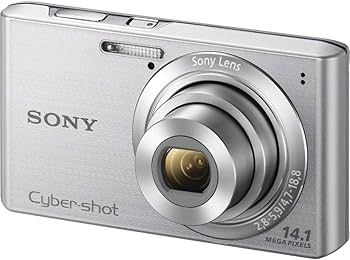 Amazon.com: Sony Cyber-shot DSCW610 14.1 MP Digital Camera
