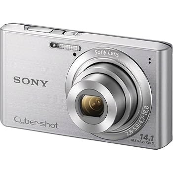 Amazon.com: Sony Cyber-shot DSCW610 14.1 MP Digital Camera
