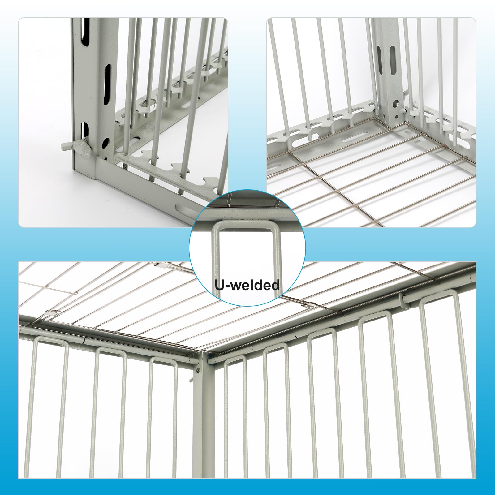 Jaula de trampa para palomas con diseño a prueba de escape, jaula de trampa automática para palomas y pájaros pequeños, trampas para pájaros de múltiples capturas para la venta con pintura para