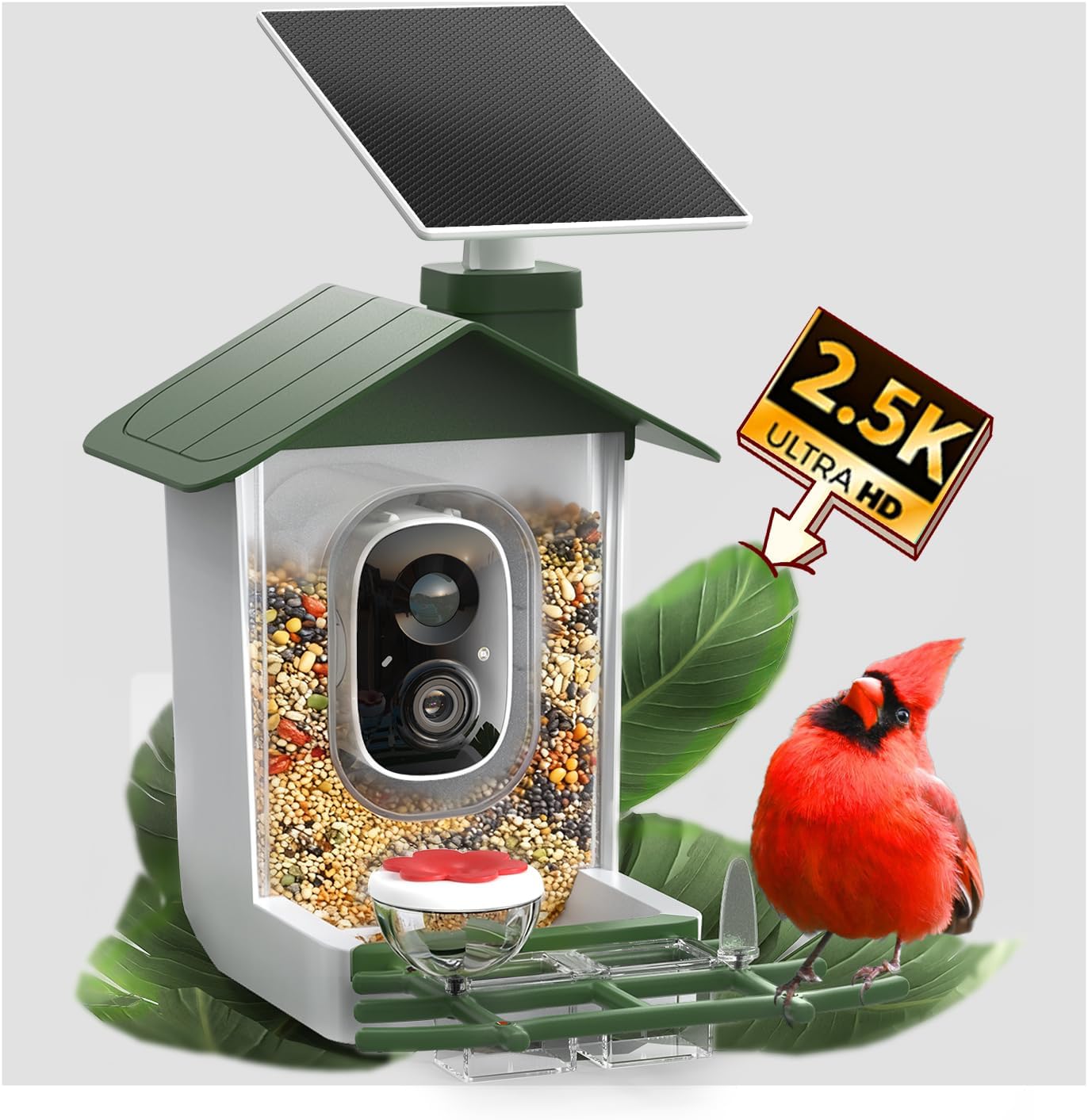 COOAU 5MP Smart Bird Feeder with Camera, Faster Solar Powered Charging, Outdoor Birdhouse Cam with Precise AI Birds Recognition, Live Video Watching and Notifications, Ideal Gift for Bird Lovers,Green
