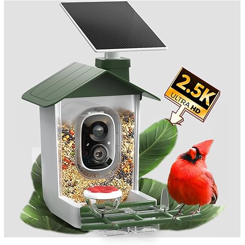 COOAU 5MP Smart Bird Feeder with Camera, Faster Solar Powered Charging, Outdoor Birdhouse Cam with Precise AI Birds Recognition, Live Video Watching and Notifications, Ideal Gift for Bird Lovers,Green
