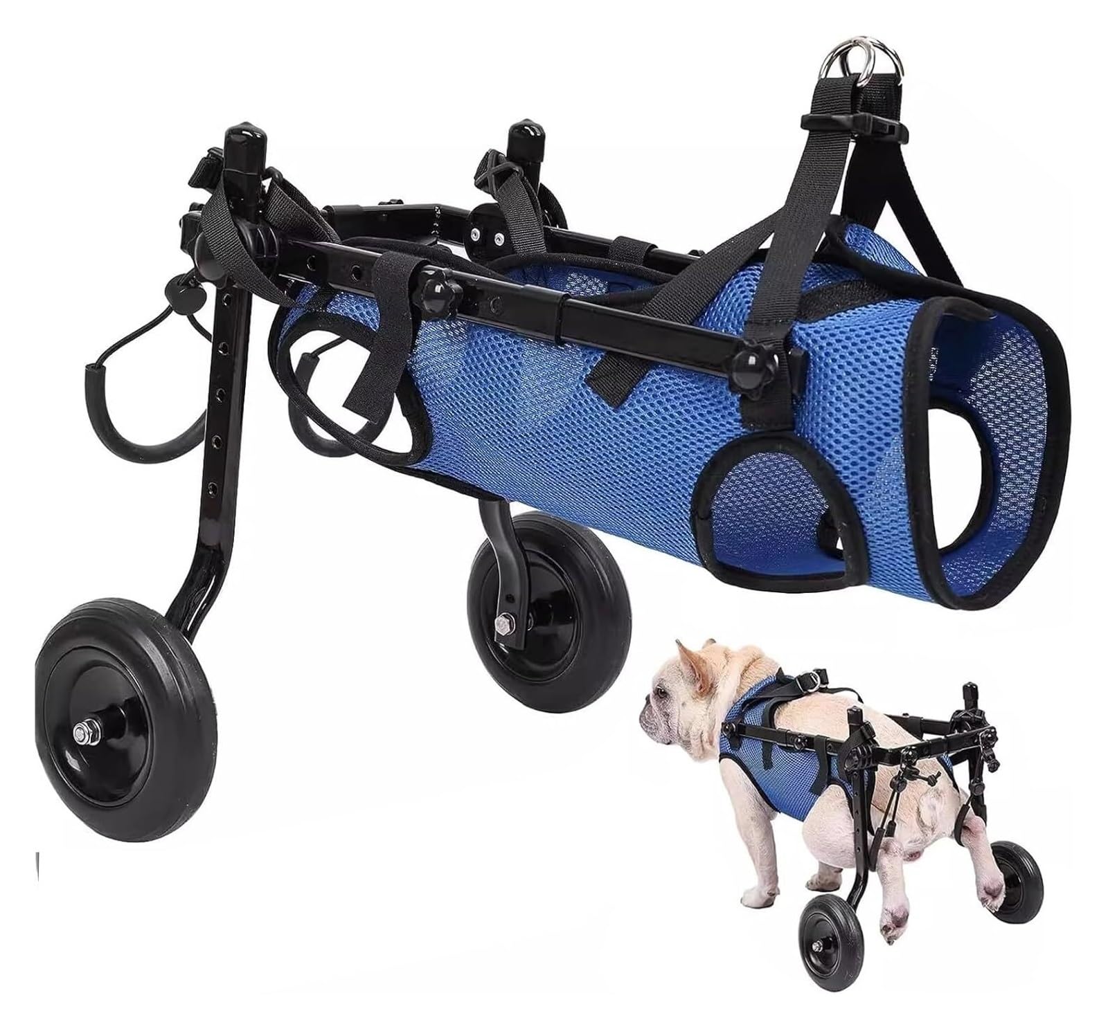 Fauteuil roulant pour pattes arrières redonner joie marcher chien