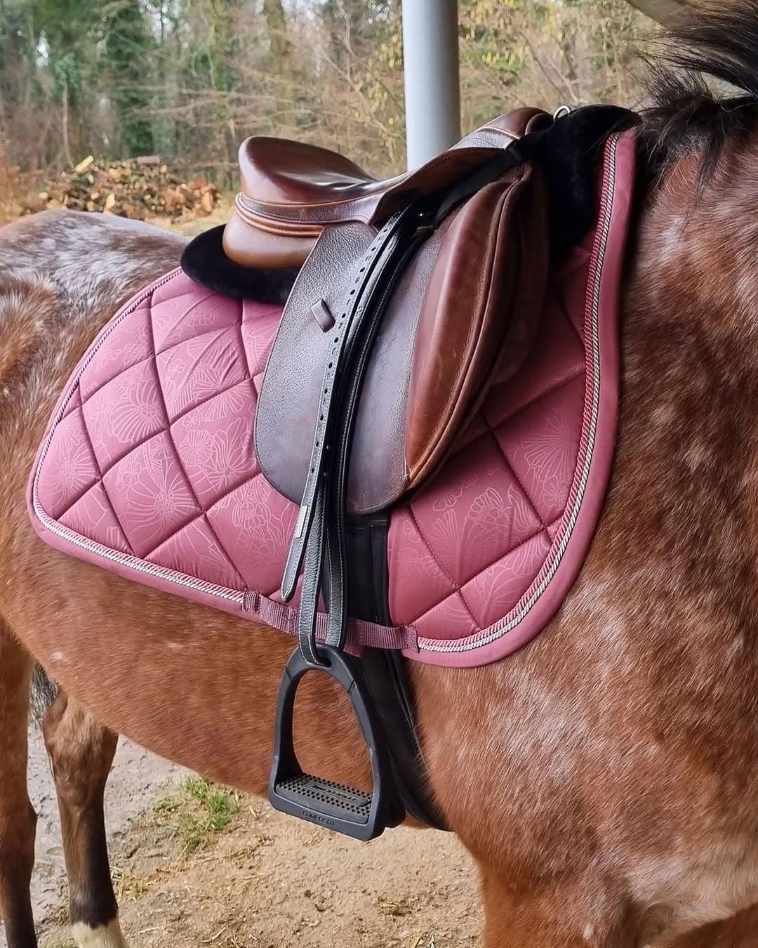 Étriers d'équitation COMPOSITI Premium Bordeaux Adulte - Léger, Semelle interchangeable, Résistant chocs et humidité