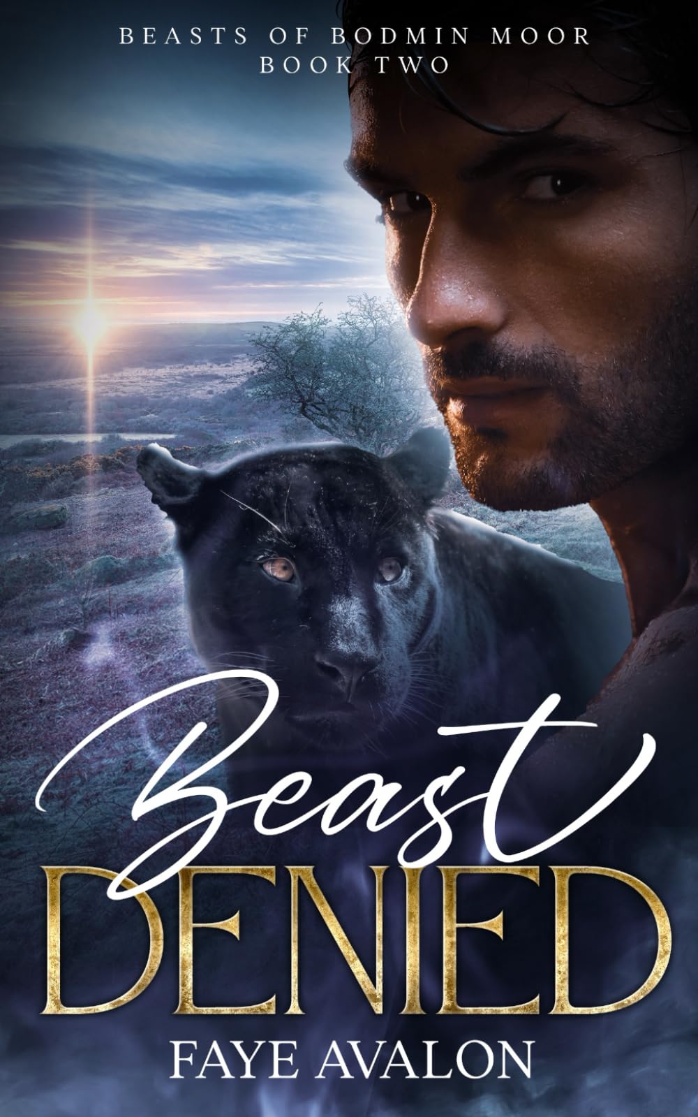 Beast Denied (Beasts of Bodmin Moor)