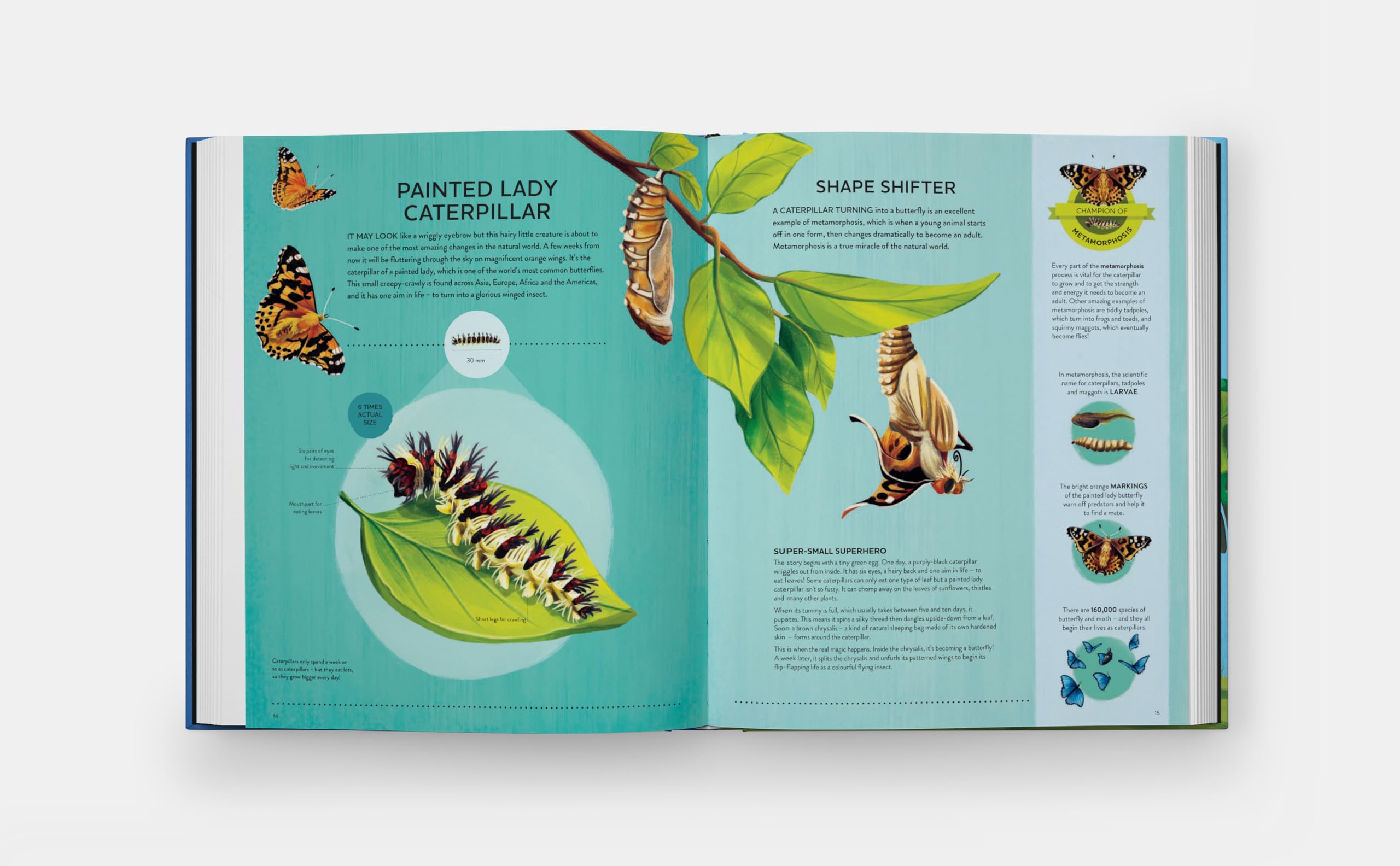 Nature's tiny champions: The Big Book of Little Creatures Doing Mighty Things