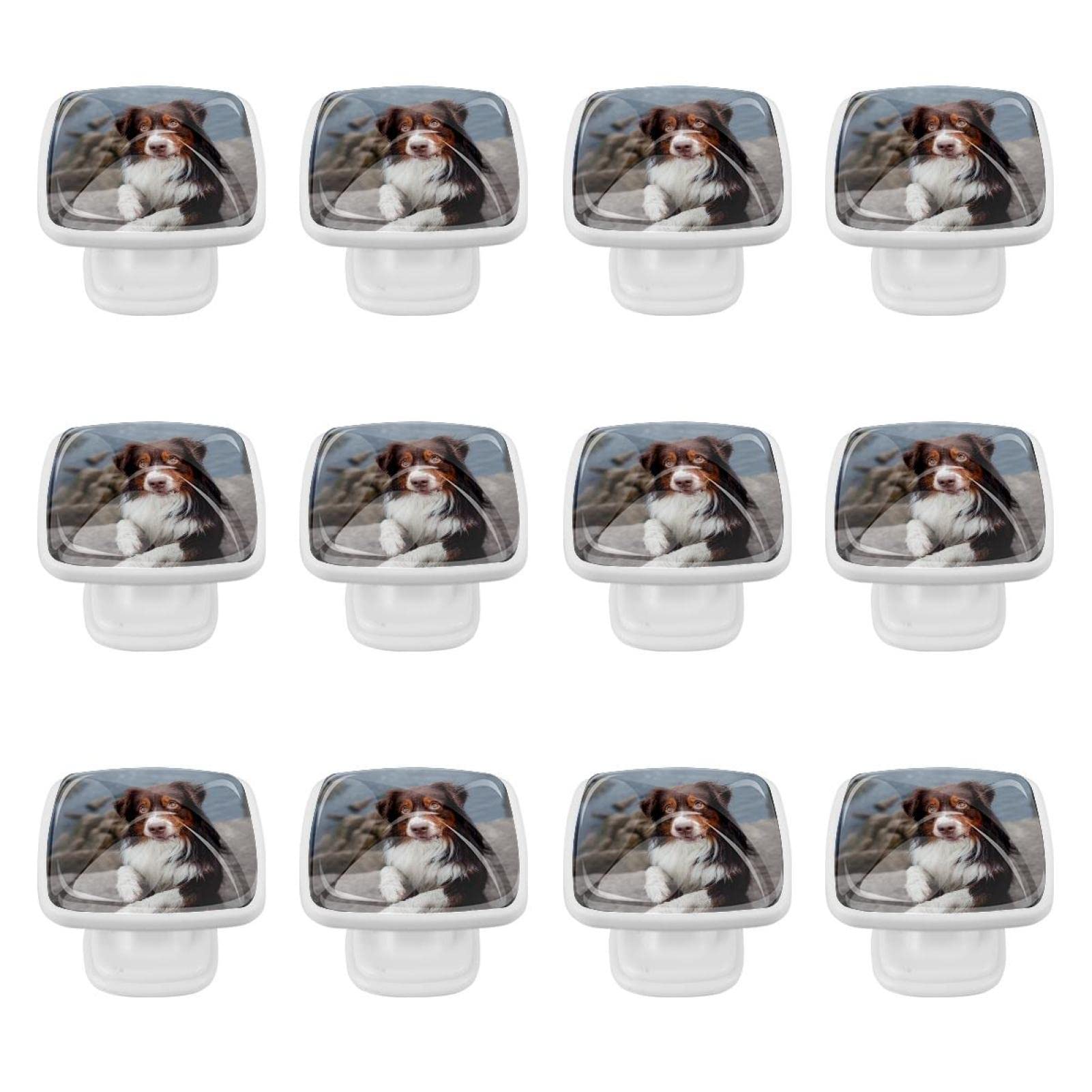 Boutons pour armoires et tiroirs motif Animal Colley lot complet de 12 pièces