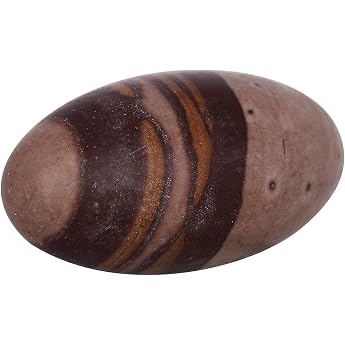 eSplanade Narmadeshwar Shivling Shiva Lingam Indian Gods and Narmada Stone Figurine 6-Inch