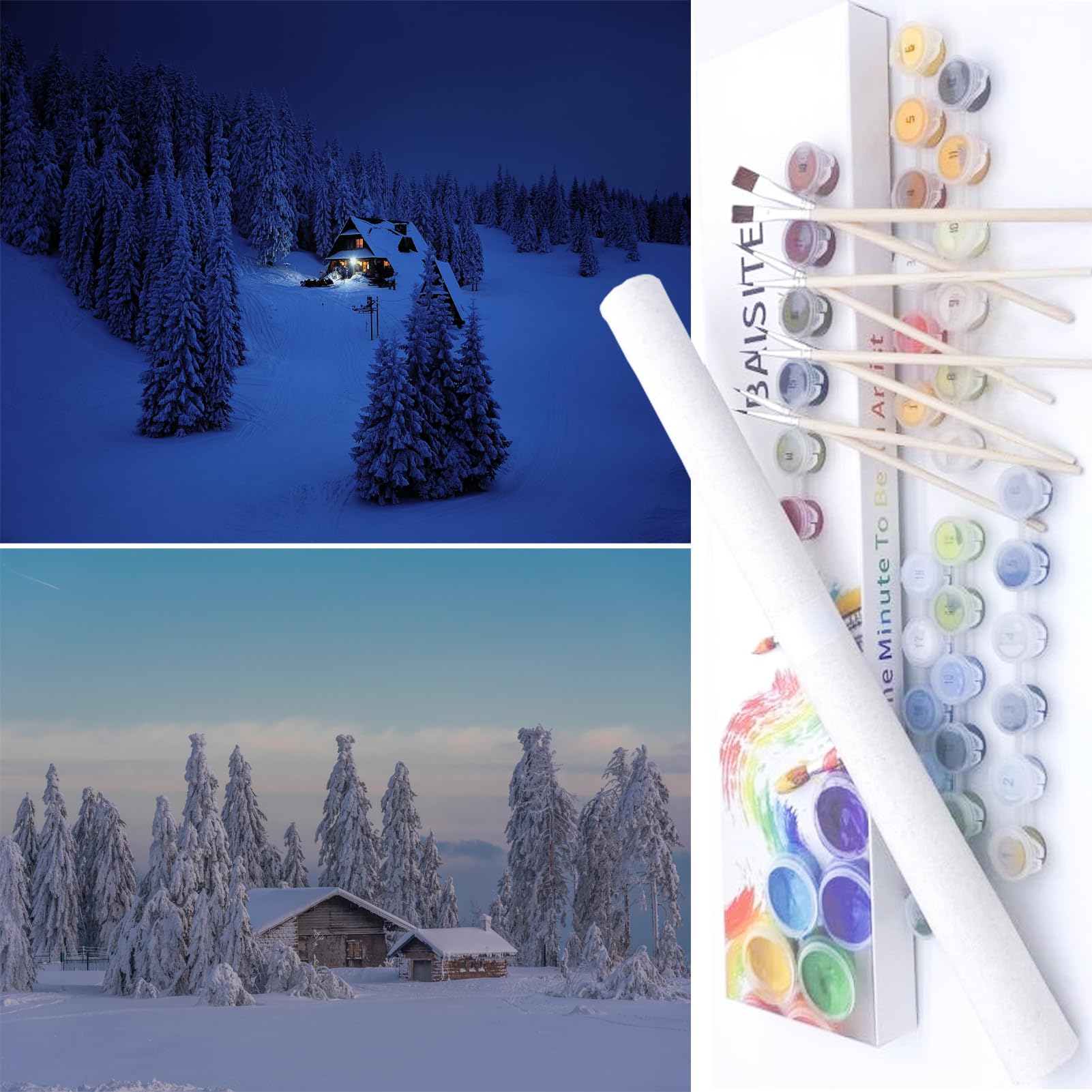 BAISITE Paint by Numbers Kit for Adults Beginners,16" Wx12 L 2 Pack Canvas for Painting Kits for Adults in Colorful Box-BAIPBN615-616