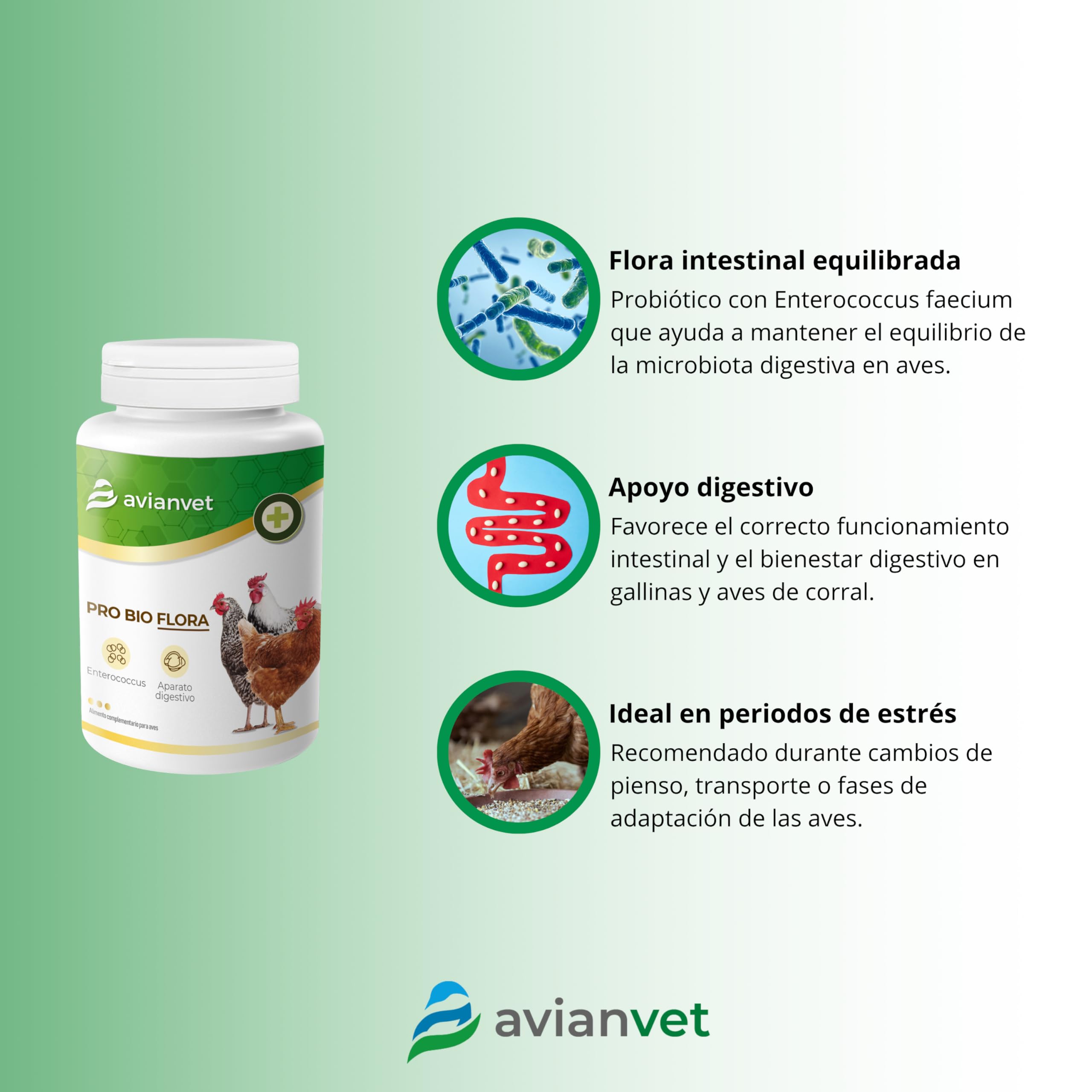 Pro Bio Flora Gallinas | Probiótico para Aves de Corral con Enterococcus faecium | Flora Intestinal, Salud Digestiva y Bienestar en Aves de Corral 500 g — view 2