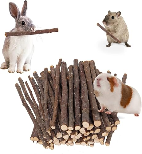 Petawi 700g Apple Sticks Molar Wood Treats, Rabbit Toys Chinchilla Guinea Pig Bunny Toys Wood Chews Sticks for Teeth Rabbit Food Guinea Pig Hamster Gerbil Chews Small Animals Snacks(200 Pcs) - Apple Sticks 600G