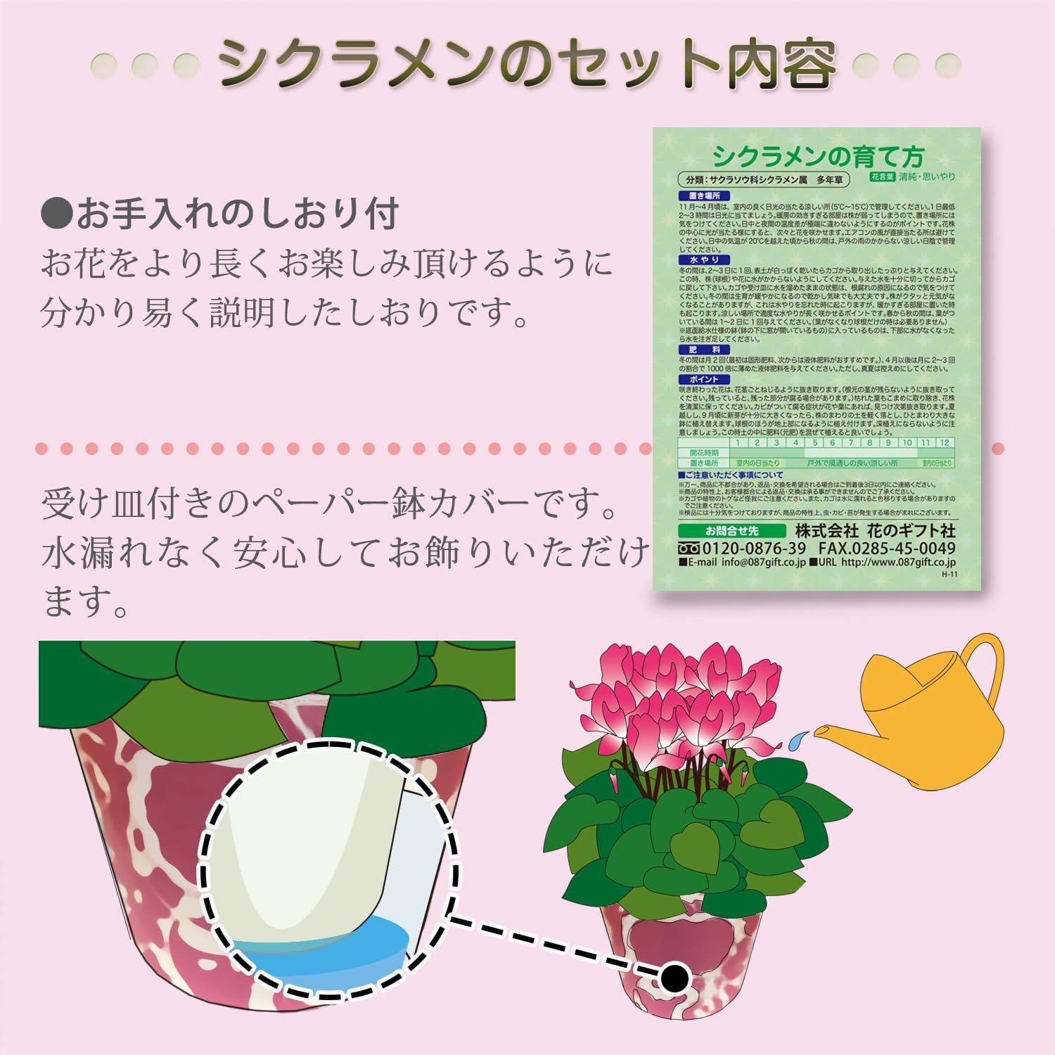 シクラメン ギフト プレゼント 花 鉢植え 鉢花 誕生日 5号鉢 赤 【横】 ドリームオレンジ