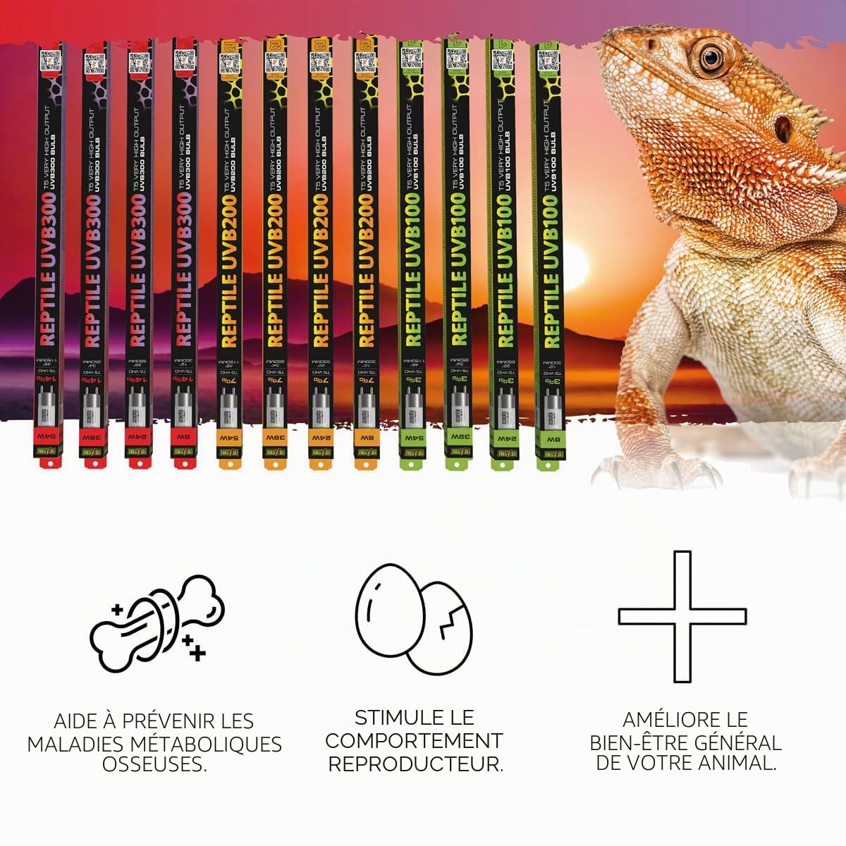 Exo Terra Ampoule UVB300 T5 VHO pour reptiles 8 W 30,5 cm, ampoule de sortie UVB ultra élevée pour reptiles du soleil de midi, éclairage T5 à très haut rendement pour vitamine D3 et soutien du calcium