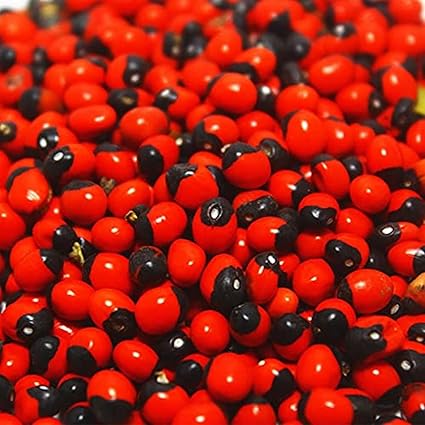 Shree Jee Organic Rakt Gunja/Chirmi/Red Gunja/lal gunja beej Seeds for Pooja (2 packs of 100 Grams)