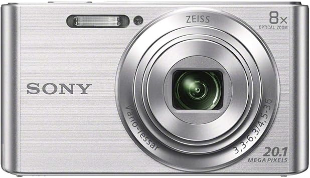 Sony DSCW830 20.1 MP Digital Camera with 2.7 LCD Silver