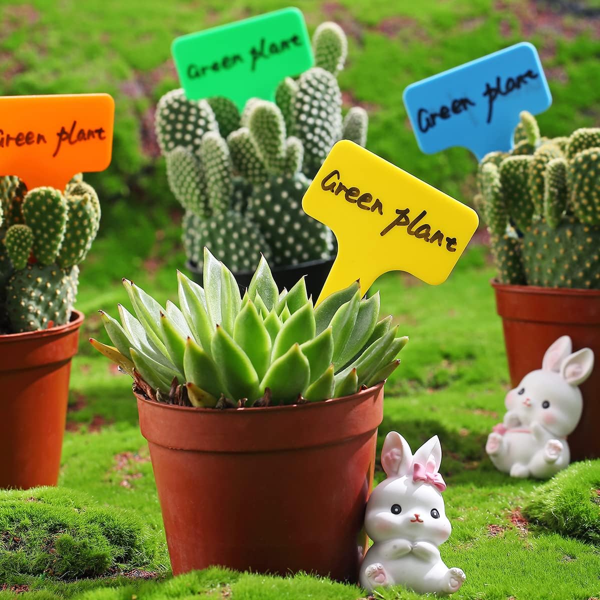 Plant Tags - 50 Pack Tree Markers -3