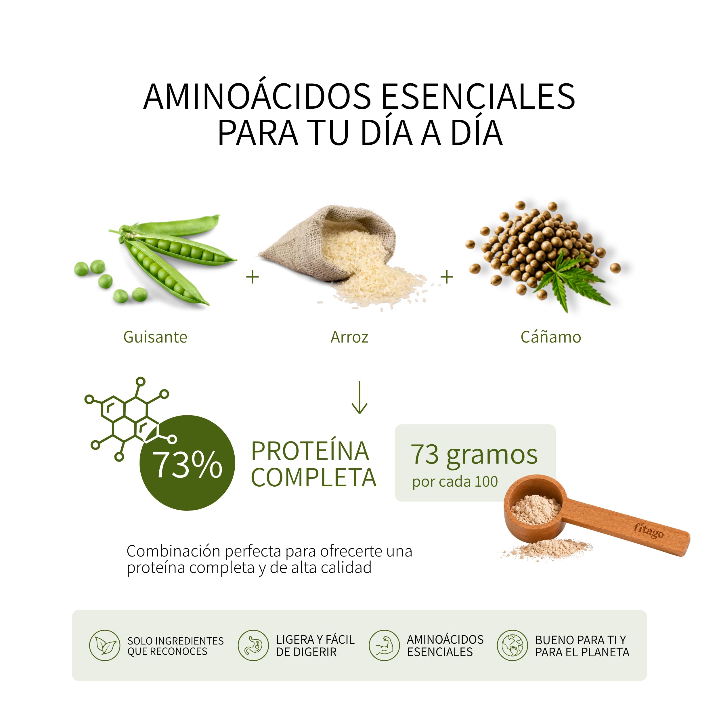 Proteina Vegana Ecologica en Polvo, 1kg | 73% Proteina Vegetal de Cacao