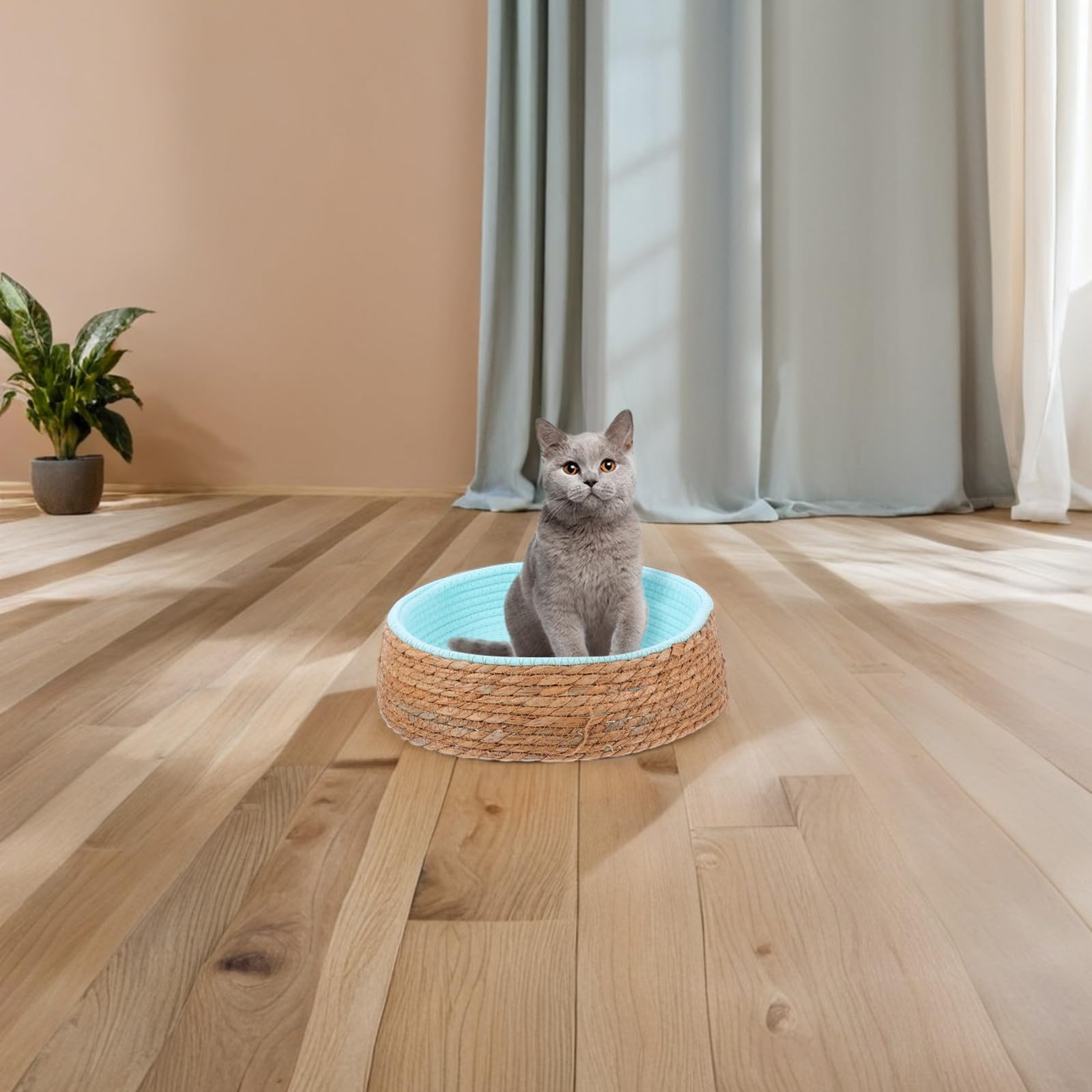 Gewebtes Katzenschlafnest aus Rattan und Gras Rundes Haustierbett für Kleine Hunde Atmungsaktiv und Robust für Gebrauch in Wohnräumen