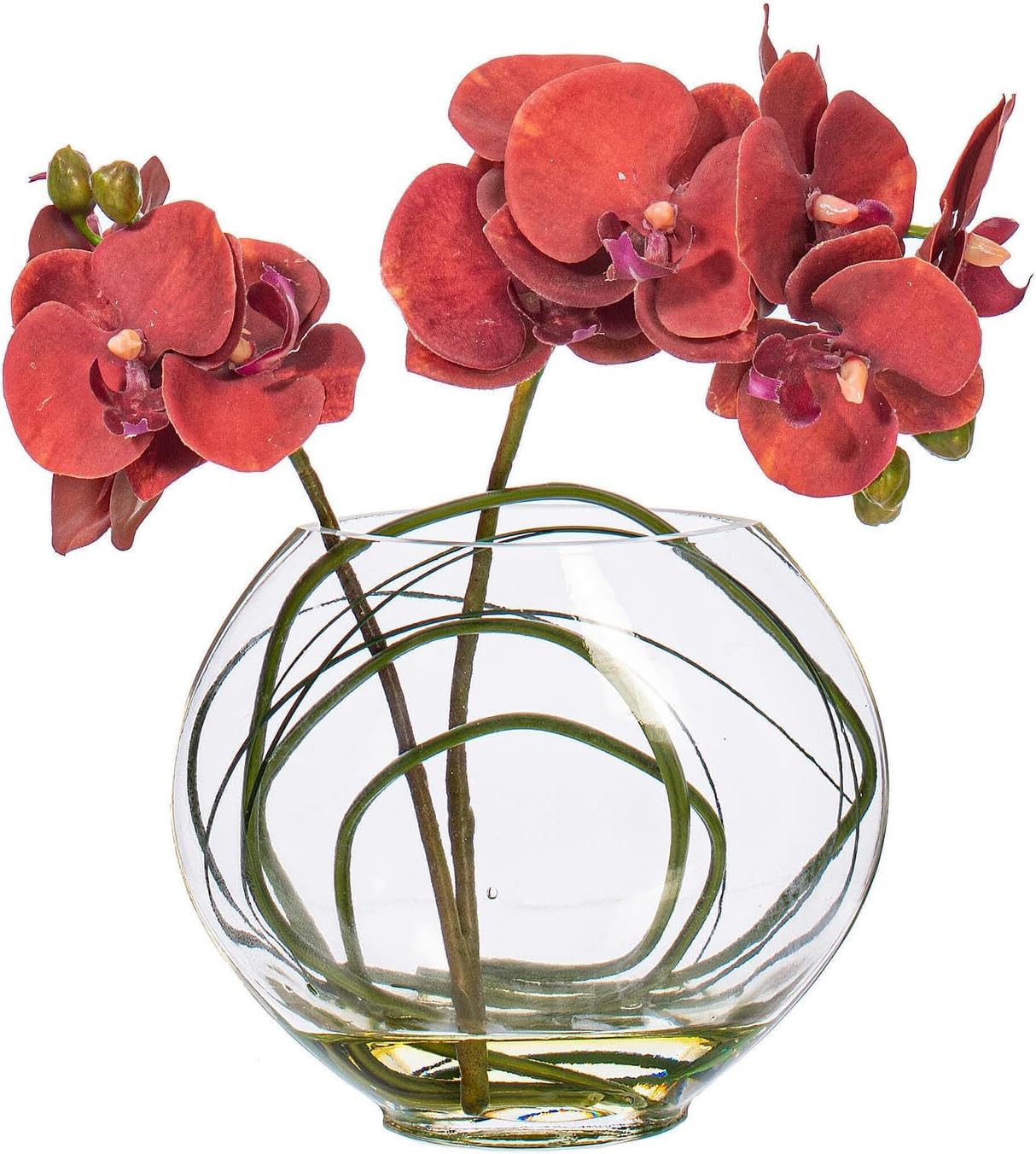 Vickerman 9.8" Artificial Purple Butterfly Orchid in Glass Pot. This Beautiful Purple Orchid Arrangement Comes in a Decorative Glass Pot with Acrylic Water.