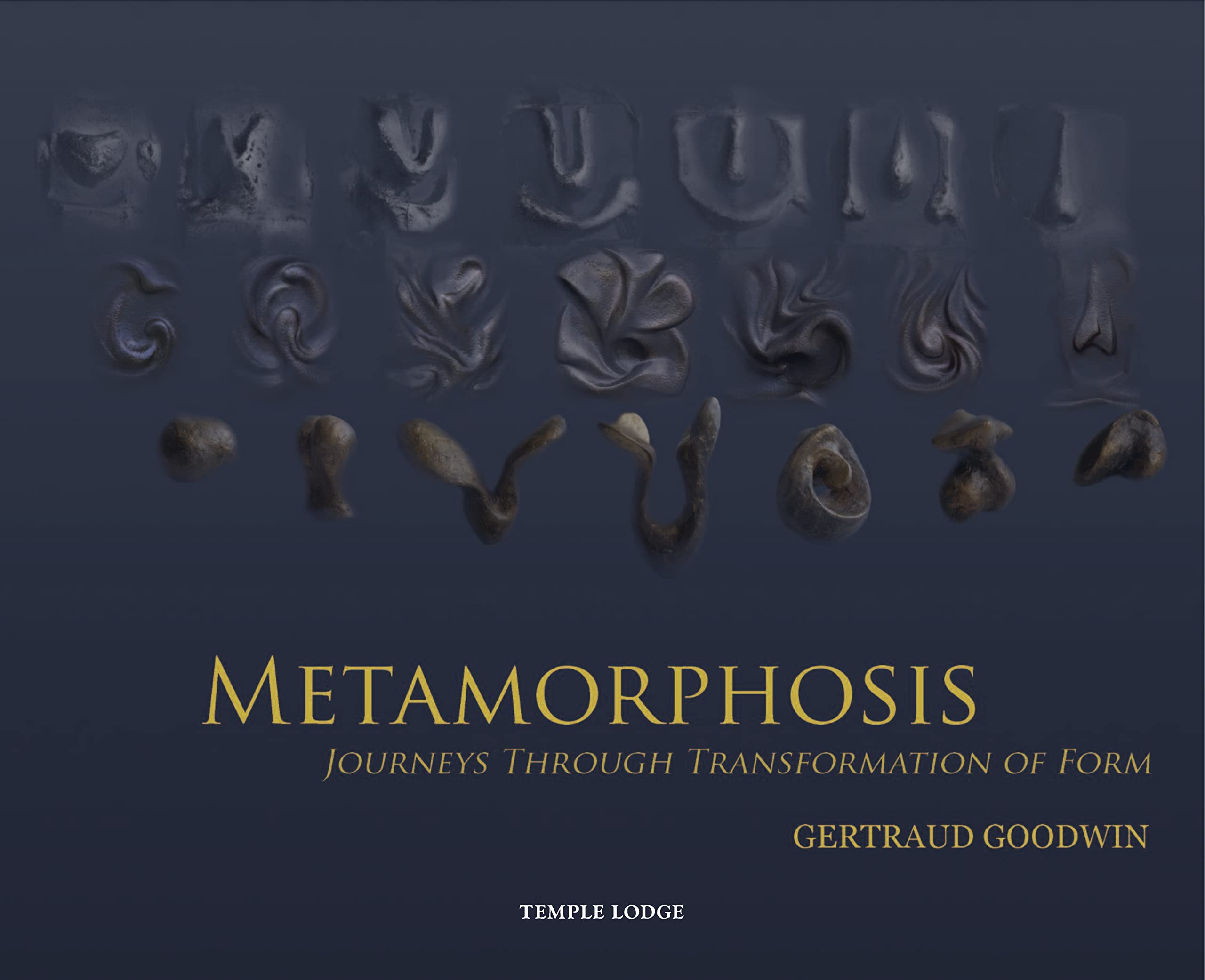 Metamorphosis: Journeys Through Transformation of Form