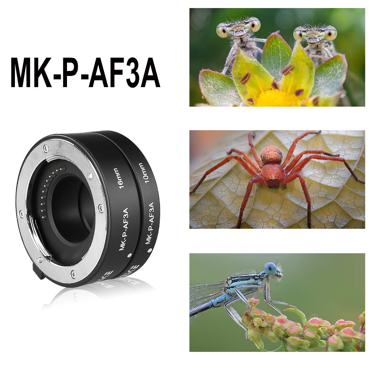 Meike MK-P-AF3A Tubo di prolunga autofocus in metallo per obiettivi Olympus Panasonic Micro Quattro Terzi M4/3 (10mm+16mm)