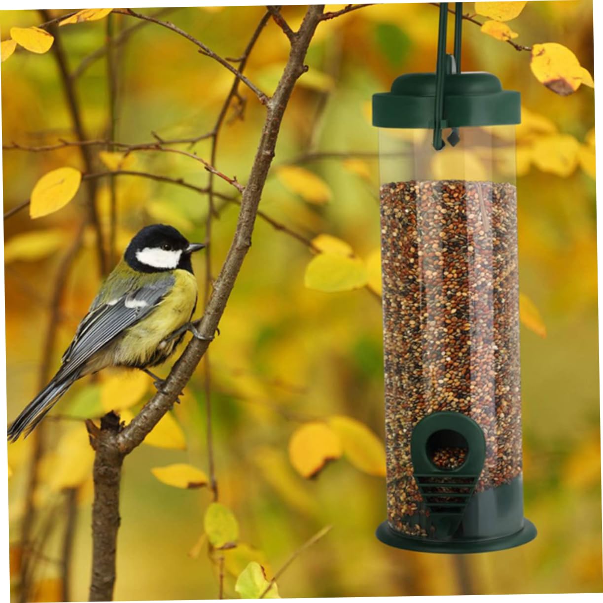 YARNOW 6pièces Mangeoire Suspendue pour Oiseaux Accessoire De Nourriture De Jardin Extérieur Distributeur De Et