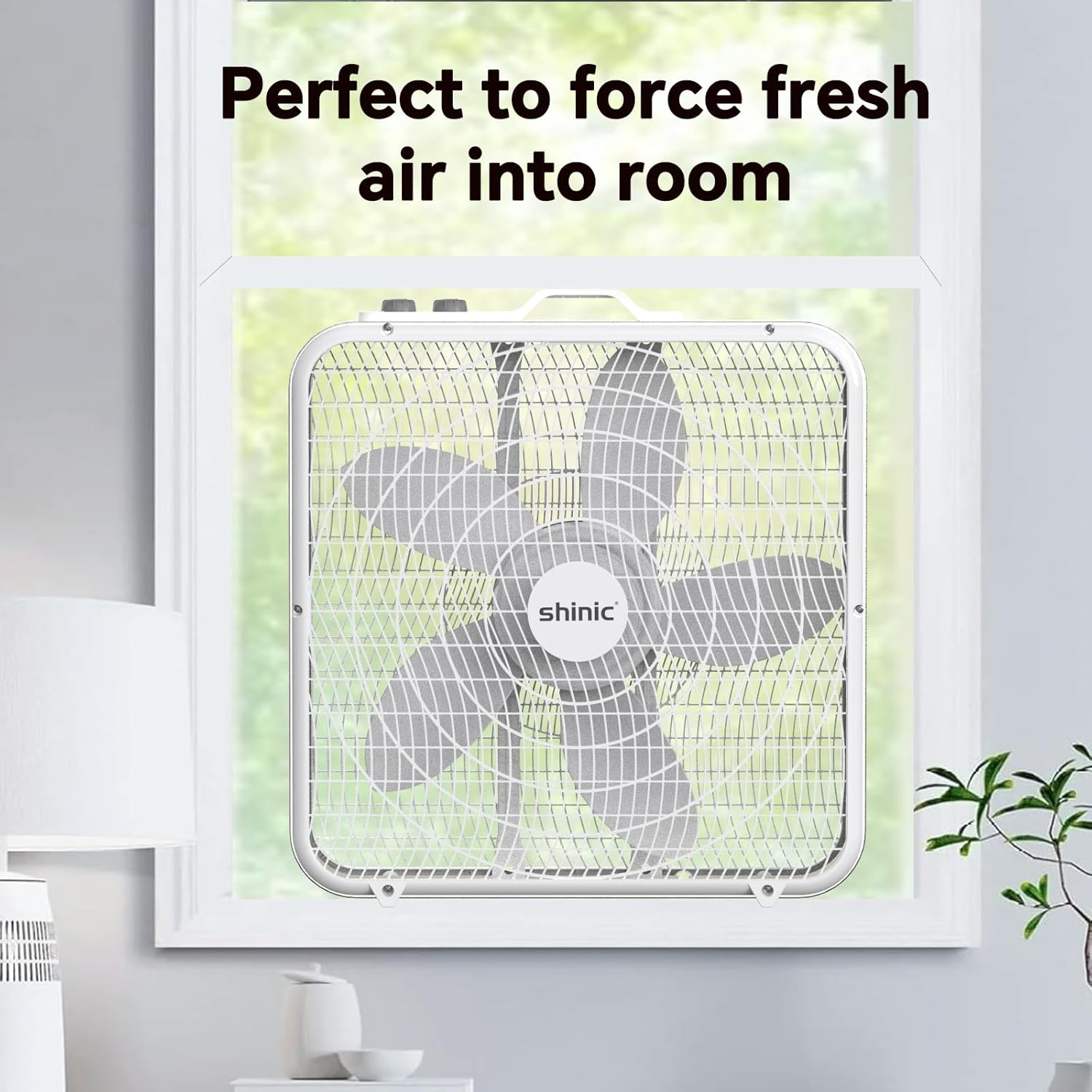https://m.media-amazon.com/images/I/71vtcy22ipL._AC_SL1500_.jpg