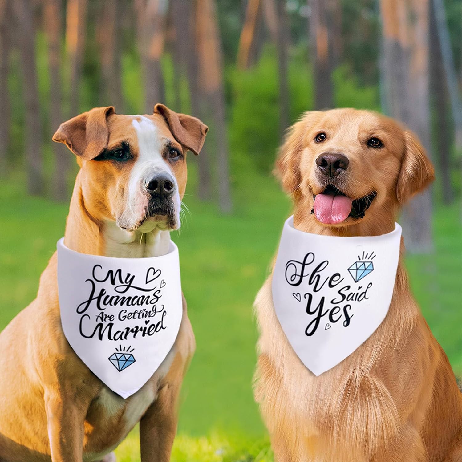 My Humans are Getting Married Dog Bandana Large, Wedding Stuff Scarf 2PCS image 3