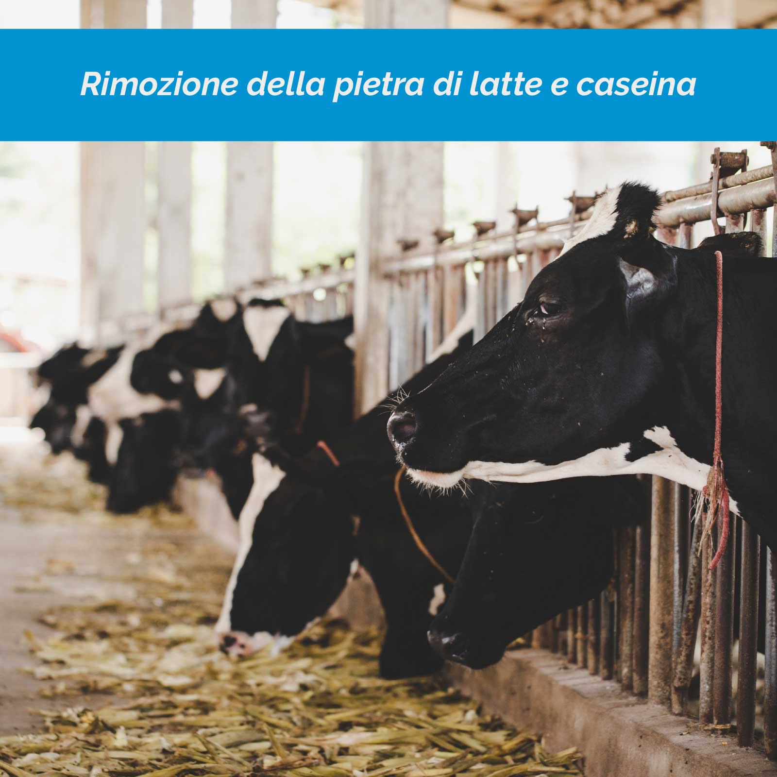 DISINCROSTANTE Acido Industria Alimentare DEKAL P CONCENTRATO - Tanica da 30 L