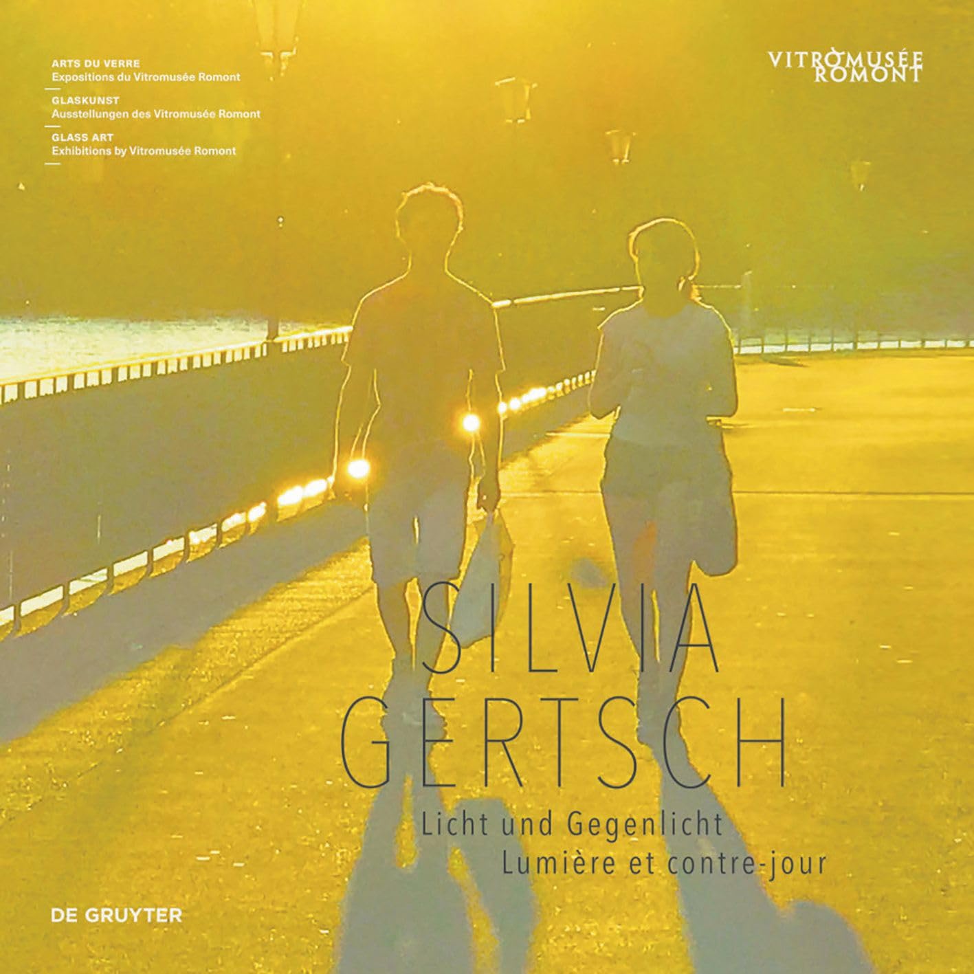 Silvia Gertsch: Licht Und Gegenlicht Catalogue Exposition Vitromusée Romont