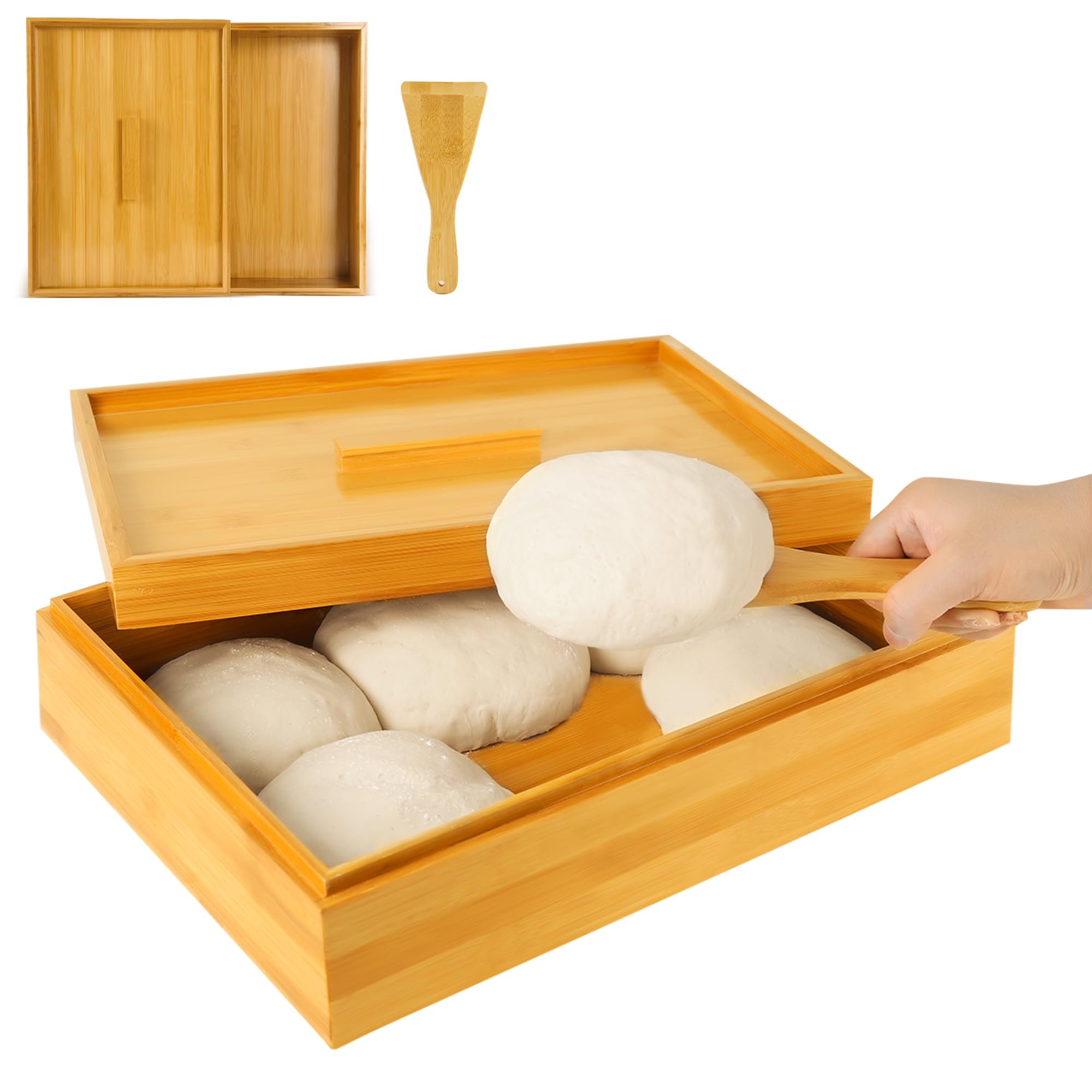 Payarma Pizza Dough Proofing Box - Bamboo Proofing Box with Lid 12”×16” and Dough Spatula, Fits 6 Dough Balls, Dough Proofing Container for Home Kitchen