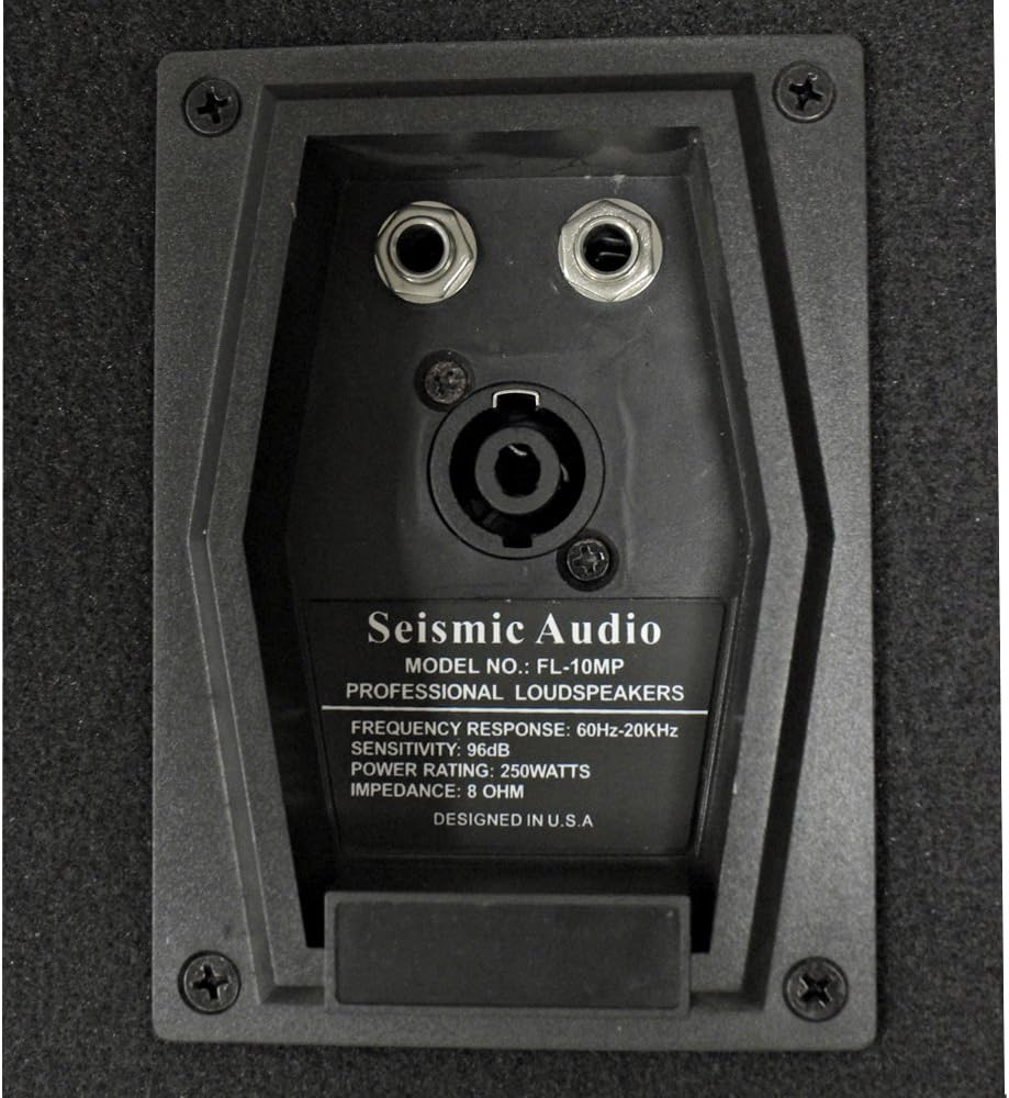 Seismic Audio - FL-10MP - Pro Audio PA/DJ 10" Monitor - 100% Birch Plywood - 250 Watts RMS each