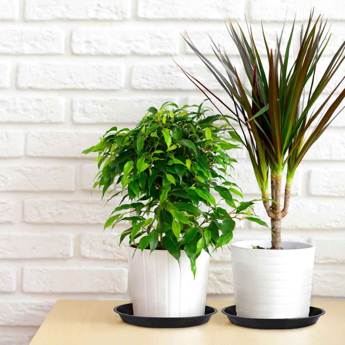Totority Base per Vaso da Fiori Rotonda in Plastica Nera, Set da 10 Pezzi di Vassoi per Raccolta Acqua, Accessori da Giardinaggio per Piante da Interno e Balcone
