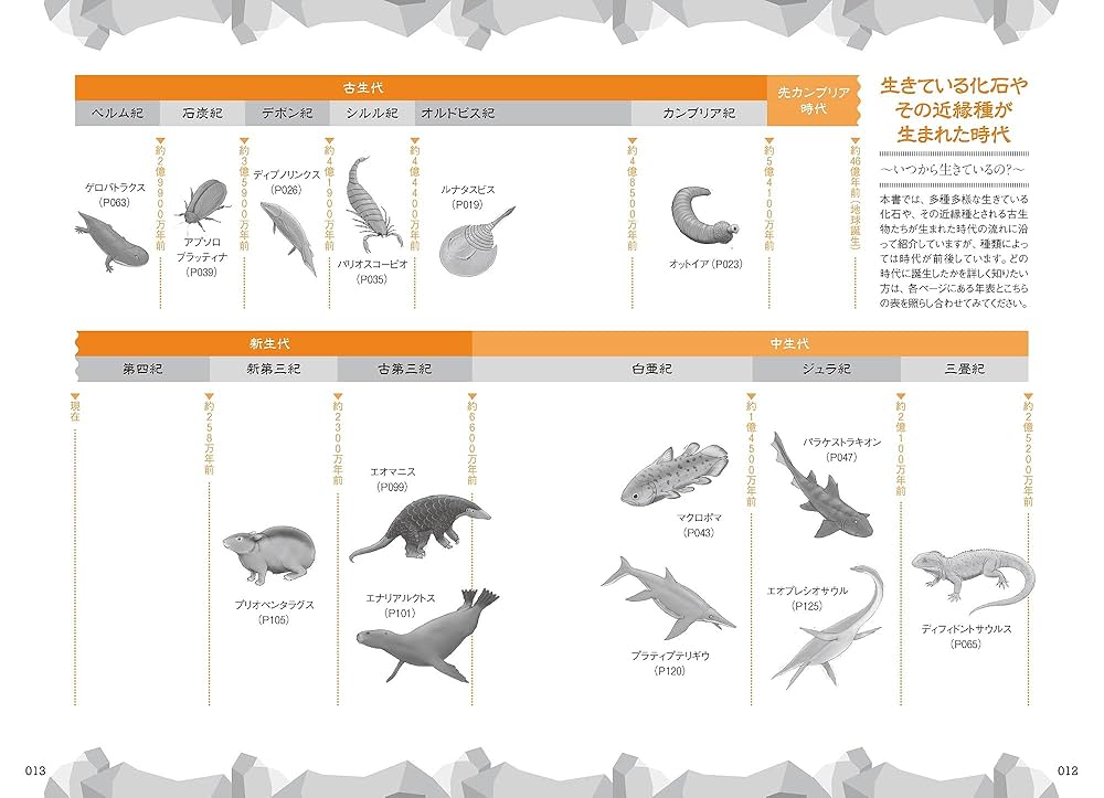 化石の百科事典 本・コミック: 化石の百科事典/スティーヴ・パーカー小畠郁生