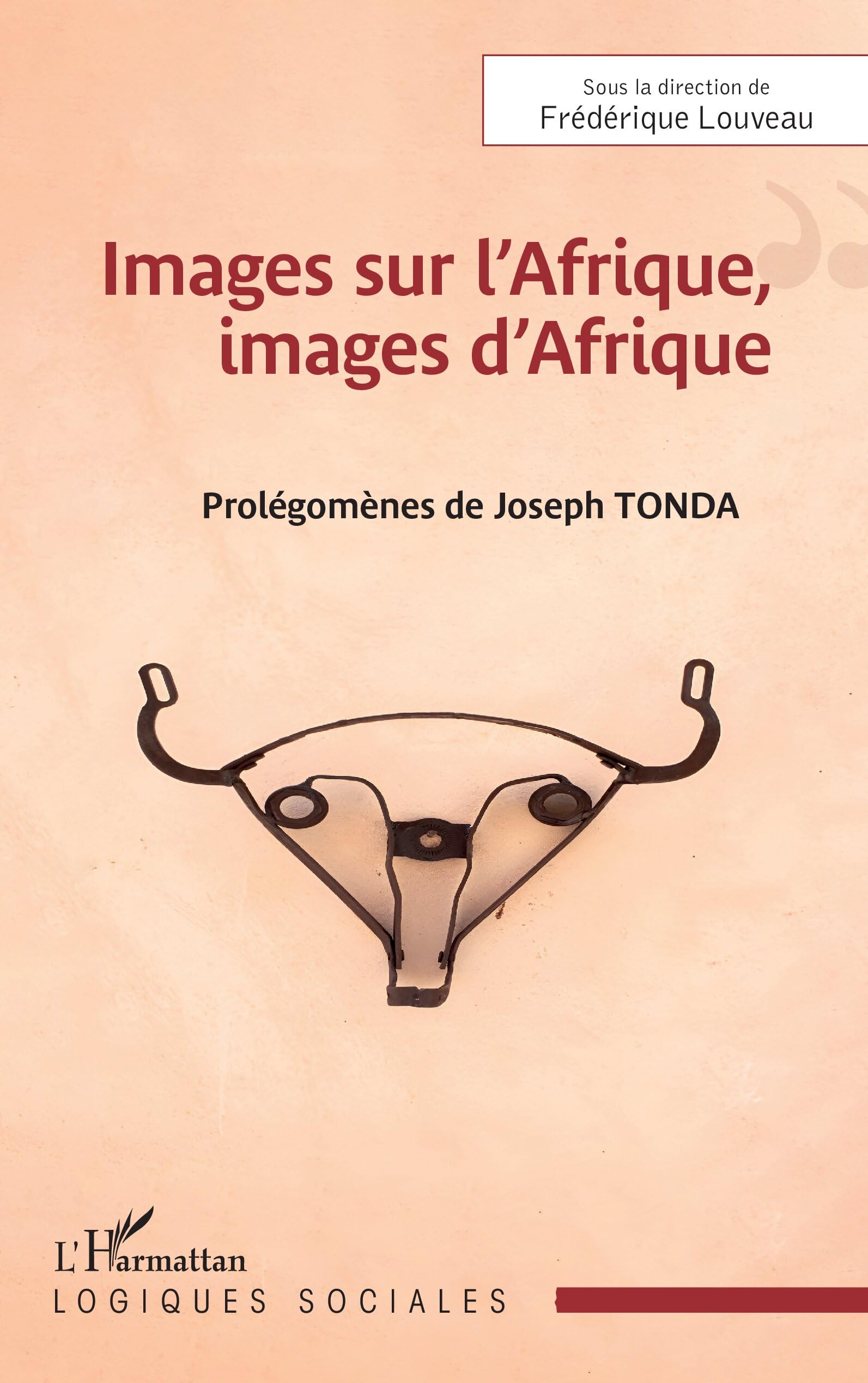 Images sur l’Afrique, images d’Afrique (Logiques sociales) - Décoder les stéréotypes visuels
